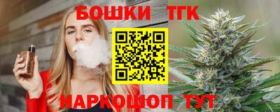 дживик Камышлов