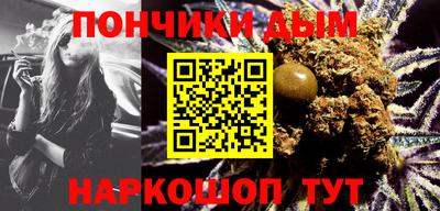 шишки Кингисепп