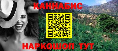 шишки Кингисепп