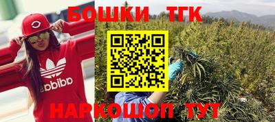 шишки Кингисепп